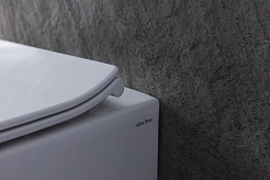 Allen Brau Унитаз приставной Fantasy 4.11007.20 белый глянец – фотография-28